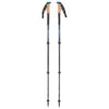 Black Diamond - Alpine C Cork WR Trek Poles - Bâtons De Randonnée